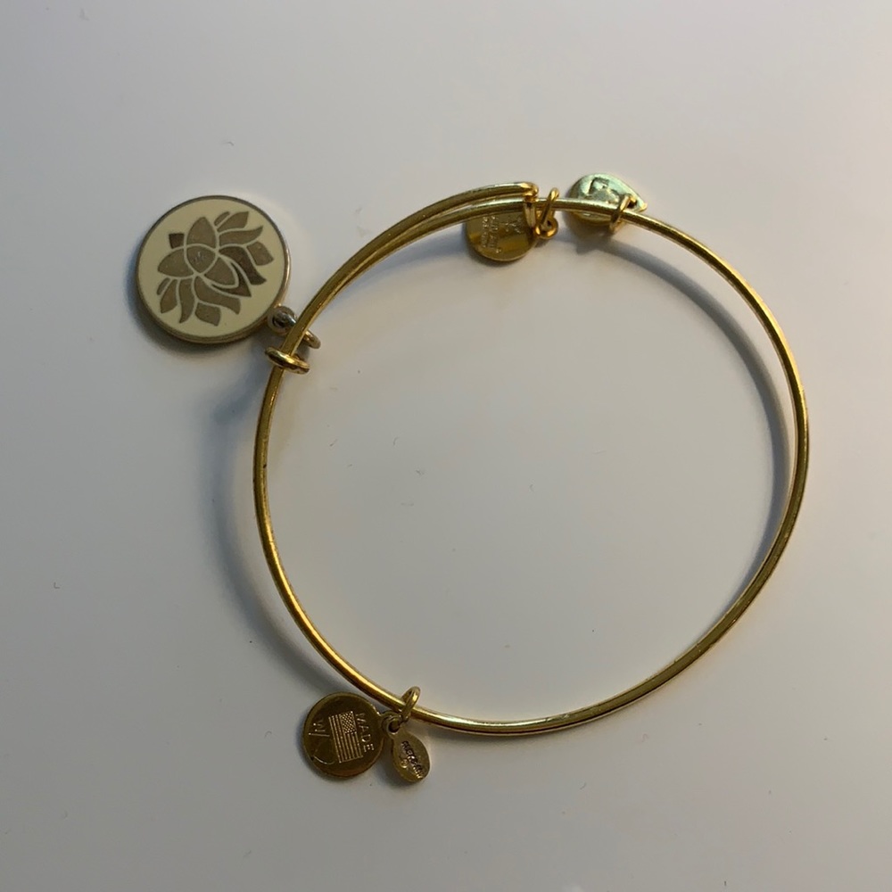Alex and Ani bracelet